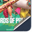 DC Comics Harley Quinn Birds of Prey Galaxy A35 5G Skin